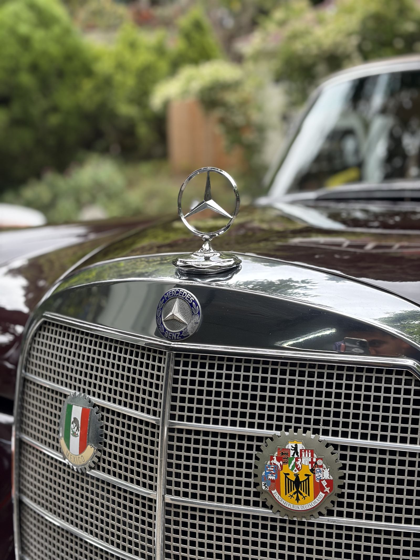 Detailed classic Mercedes by Heavenly Detail